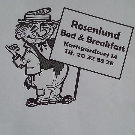 Rosenlund Bed And Breakfast Helsingor Ngoại thất bức ảnh